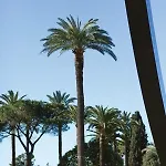 Le Mantega - F2 Moderne,centre Ville, 2 Grandes Terrasses,climatisation, Ascenseur Apartman *